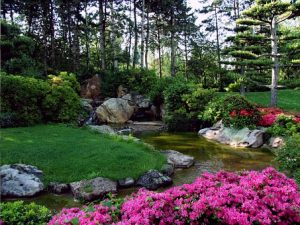 small garden