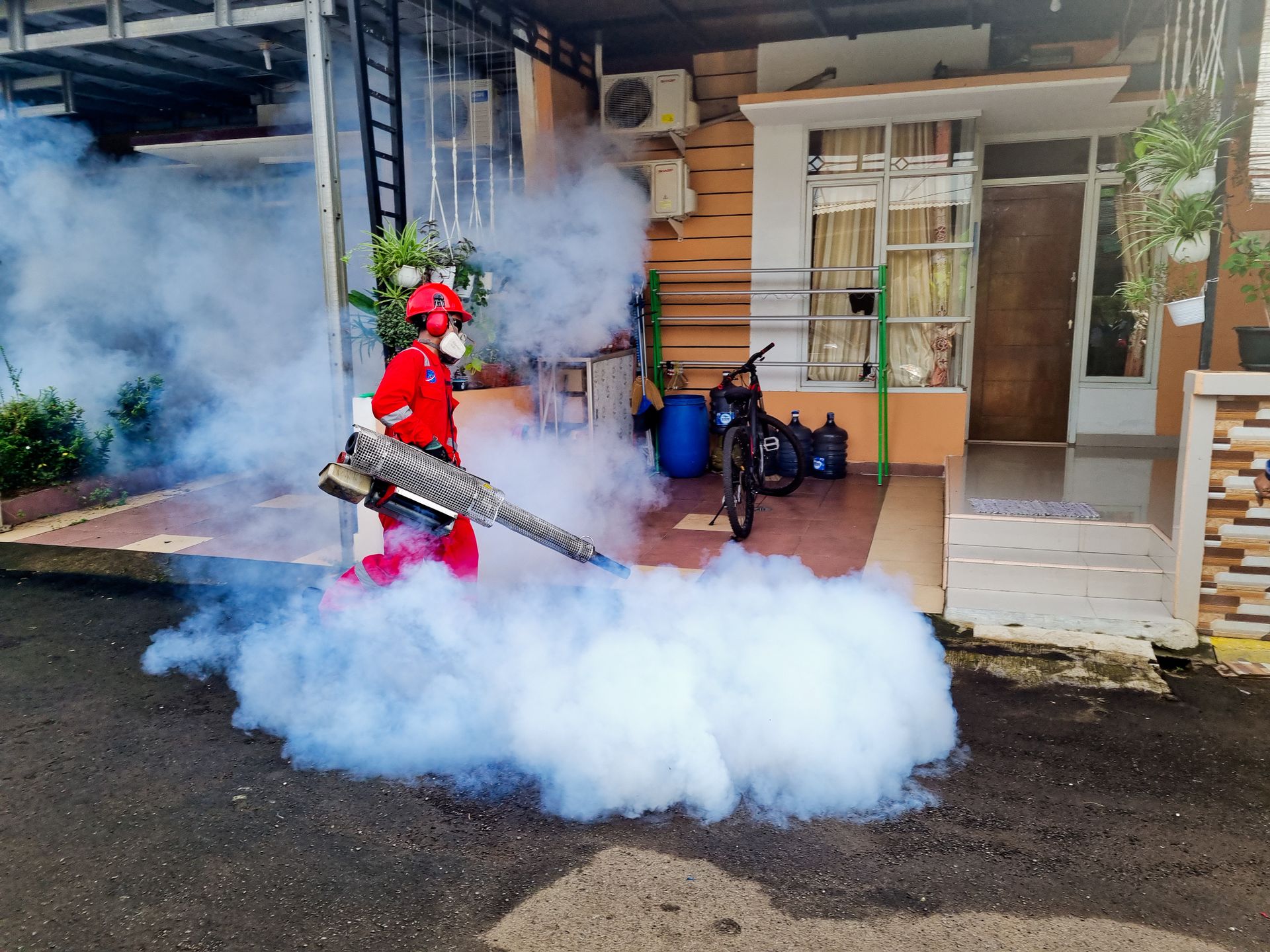 Why Waiting Too Long to Call Pest Control Can Make Things Worse